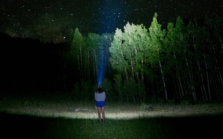 A person stands in a grassy field at night. The headlamp they are wearing illuminates the trees beyond.